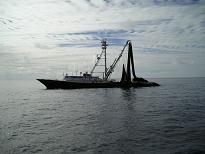 20081020104319-largada.jpg