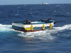 20081020104956-panga.jpg
